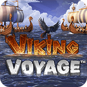 Viking Voyage