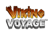 Viking Voyage