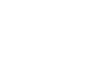 Zoom Roulette