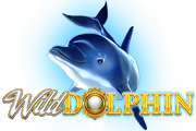 Wild Dolphin