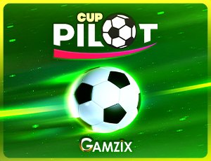 Pilot Cup