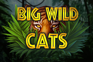 Big Wild Cats