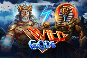 Wild Gods