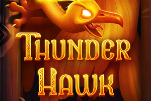 Thunderhawk