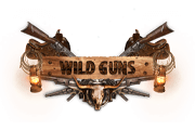 Wild Guns